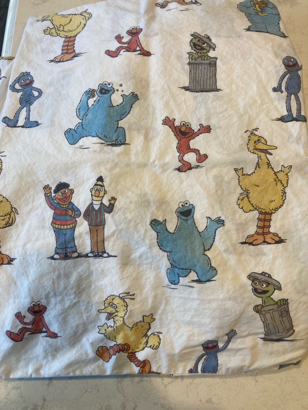Pottery Barn Kids Sesame Street Print Pillowcase, Fitted Sheet, and Flat Sheet